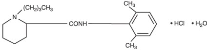 Bupivacaine Hydrochloride